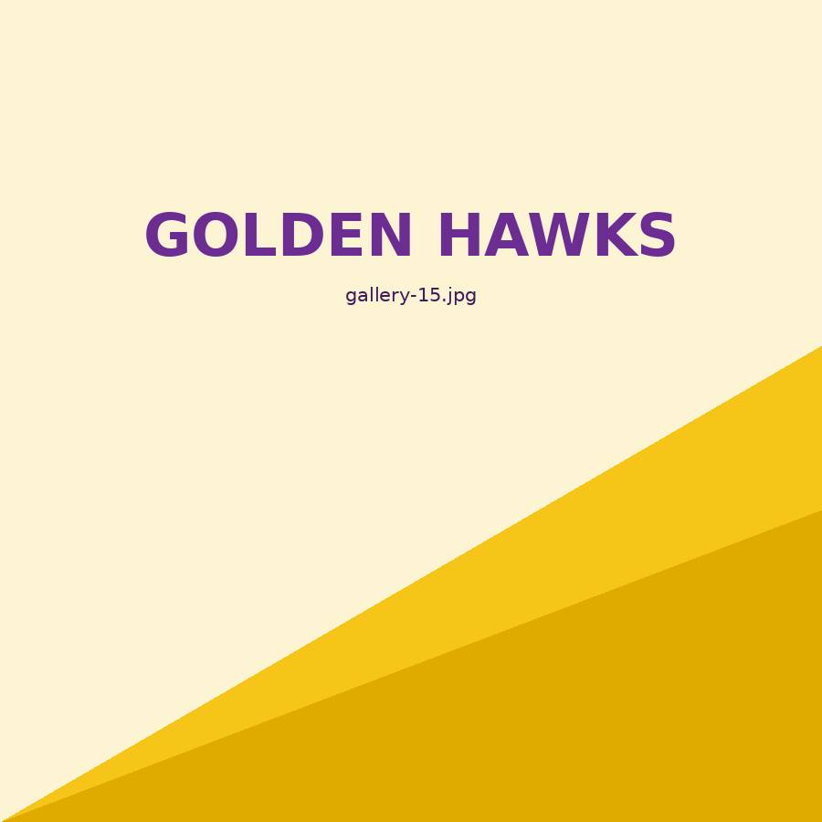オフショット